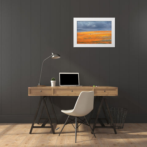 California-Mojave Desert California poppy super bloom  White Modern Wood Framed Art Print by Jaynes Gallery