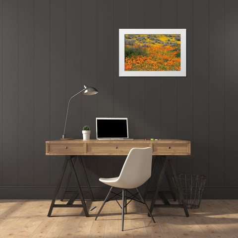 California-Mojave Desert California poppy super bloom  White Modern Wood Framed Art Print by Jaynes Gallery