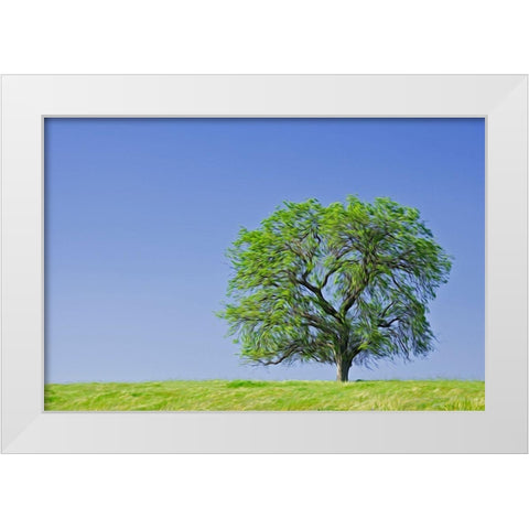 California Abstract of lone blue oak tree White Modern Wood Framed Art Print by Jaynes Gallery
