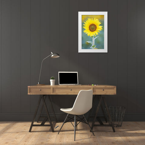 California Abstract of sunflower White Modern Wood Framed Art Print by Jaynes Gallery