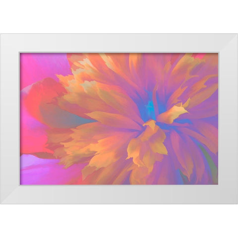 California Abstract of blooming peony flower White Modern Wood Framed Art Print by Jaynes Gallery