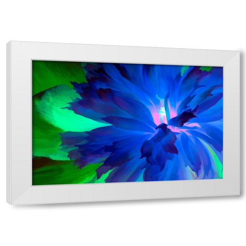 California Abstract of blooming peony flower White Modern Wood Framed Art Print by Jaynes Gallery