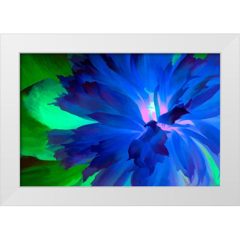California Abstract of blooming peony flower White Modern Wood Framed Art Print by Jaynes Gallery