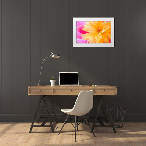 California Abstract of blooming peony flower White Modern Wood Framed Art Print by Jaynes Gallery