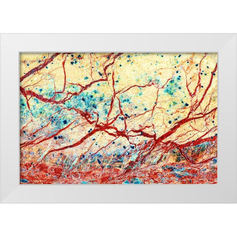 California Detail of marble rock patterns White Modern Wood Framed Art Print by Jaynes Gallery