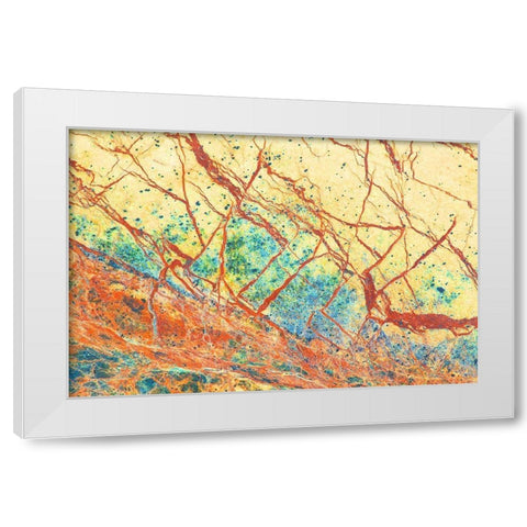 California Detail of marble rock patterns White Modern Wood Framed Art Print by Jaynes Gallery