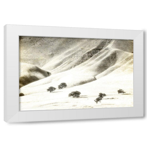 Usa-California Oak trees and hills of the Coast Range south of Salinas-California White Modern Wood Framed Art Print by Sederquist, Betty
