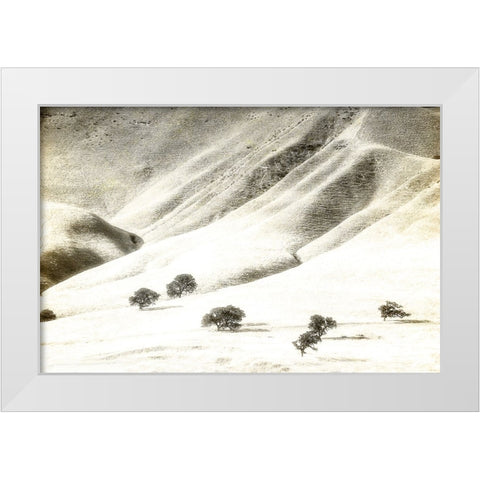 Usa-California Oak trees and hills of the Coast Range south of Salinas-California White Modern Wood Framed Art Print by Sederquist, Betty