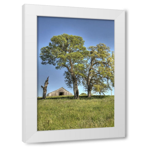 Usa-California Peaceful rural setting near Folsom Suburban sprawl is only a few miles away White Modern Wood Framed Art Print by Sederquist, Betty