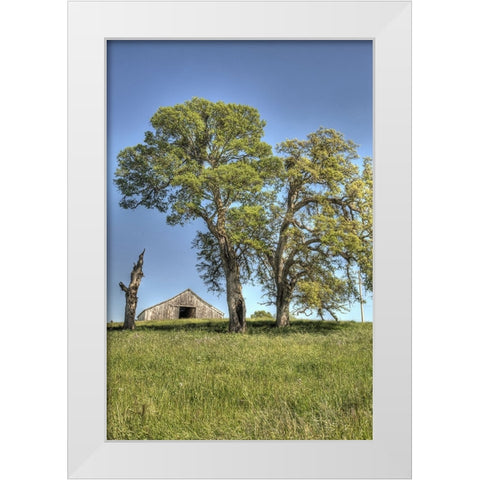 Usa-California Peaceful rural setting near Folsom Suburban sprawl is only a few miles away White Modern Wood Framed Art Print by Sederquist, Betty