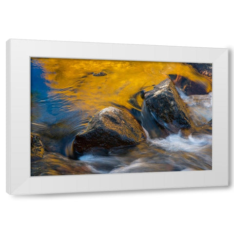 Usa-California Morning sun shines gold on the waters of the South Fork American River White Modern Wood Framed Art Print by Sederquist, Betty