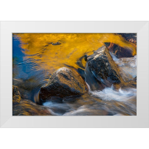 Usa-California Morning sun shines gold on the waters of the South Fork American River White Modern Wood Framed Art Print by Sederquist, Betty