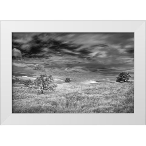 Infrared image of clouds-grasslands and oak trees in Amador County White Modern Wood Framed Art Print by Sederquist, Betty