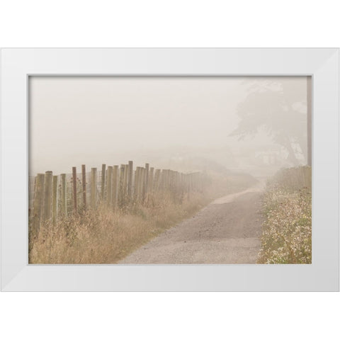 Usa-California Fog blankets this driveway at Point Reyes White Modern Wood Framed Art Print by Sederquist, Betty