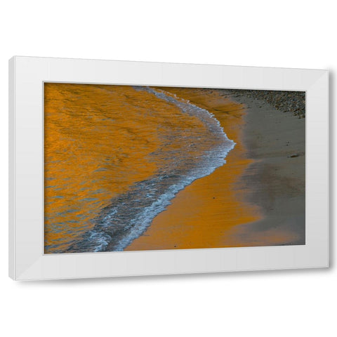Usa-California The headlands of Point Reyes White Modern Wood Framed Art Print by Sederquist, Betty