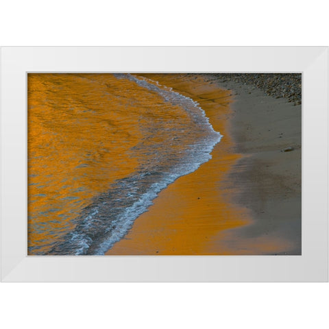 Usa-California The headlands of Point Reyes White Modern Wood Framed Art Print by Sederquist, Betty