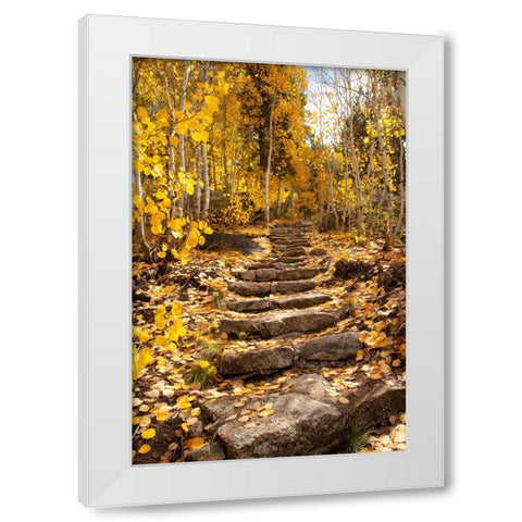These stone stairs behind Sorensens Resort (now Wylder Hotel) White Modern Wood Framed Art Print by Sederquist, Betty
