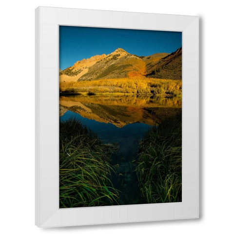 Usa-California-Sierra Nevada Morning sun lights up North Lake and the golden aspens beyond White Modern Wood Framed Art Print by Sederquist, Betty