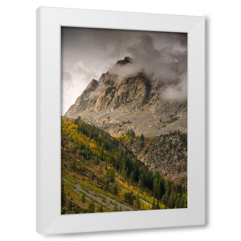 Usa-California-Sierra Nevada Mighty Peaks in the Lundy Lake area in fall White Modern Wood Framed Art Print by Sederquist, Betty