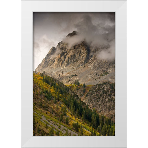 Usa-California-Sierra Nevada Mighty Peaks in the Lundy Lake area in fall White Modern Wood Framed Art Print by Sederquist, Betty