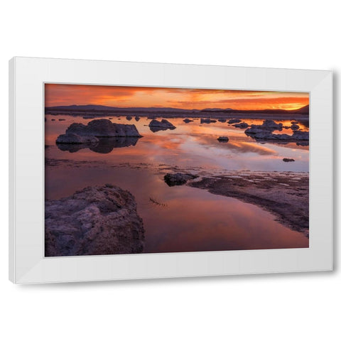 Usa-California-Sierra Nevada Mono Lake White Modern Wood Framed Art Print by Sederquist, Betty