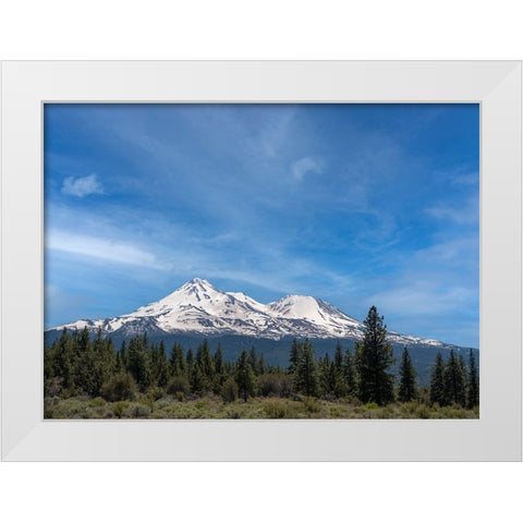 Mt. Shasta the tallest volcano in California. White Modern Wood Framed Art Print by Sederquist, Betty