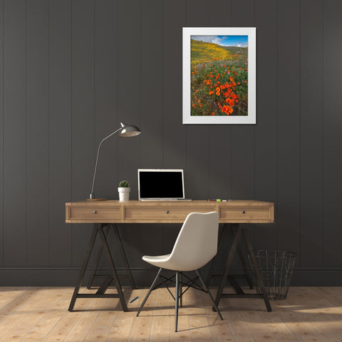 Orange Poppies-Goldfields and Filaree are protected from Wind near Lancaster and Antelope Valley White Modern Wood Framed Art Print by Garber, Howie