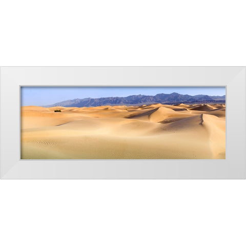 Death Valley. Landscape of Mesquite Flats Sand Dunes. White Modern Wood Framed Art Print by Muir, Janet