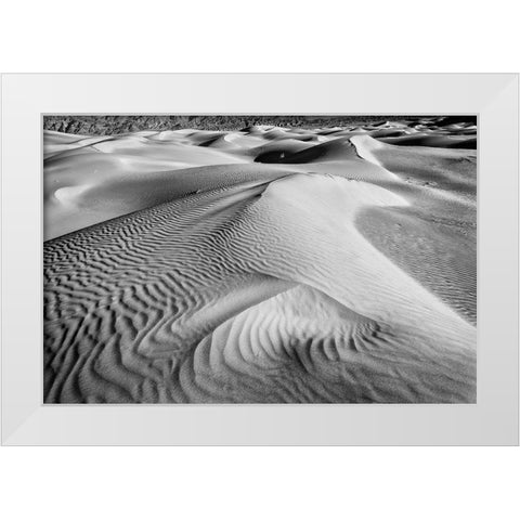 Dune-Death Valley White Modern Wood Framed Art Print by Ford, John