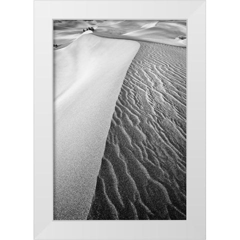 Dune Abstract-Death Valley White Modern Wood Framed Art Print by Ford, John