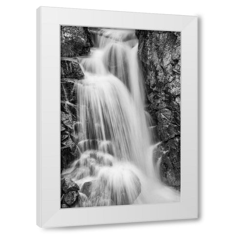 Wildcat Falls-Yosemite White Modern Wood Framed Art Print by Ford, John