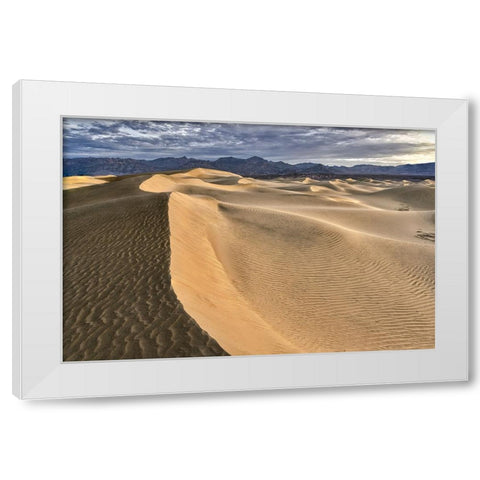 Mesquite Dunes-Death Valley National Park-California White Modern Wood Framed Art Print by Ford, John