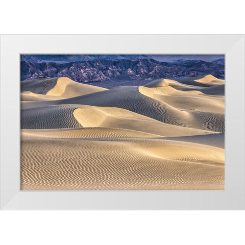 Mesquite Dunes-Death Valley National Park-California White Modern Wood Framed Art Print by Ford, John