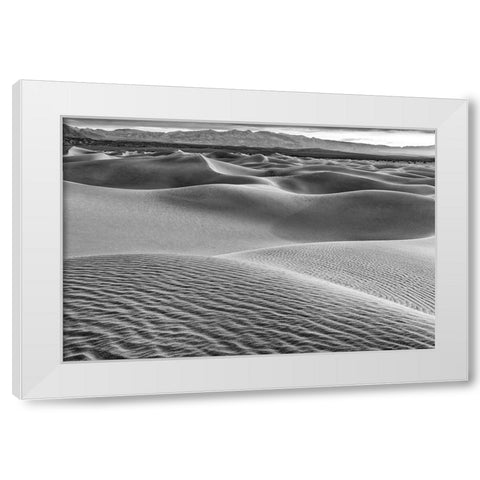 Mesquite Dunes-Death Valley National Park-California White Modern Wood Framed Art Print by Ford, John