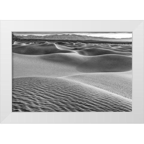 Mesquite Dunes-Death Valley National Park-California White Modern Wood Framed Art Print by Ford, John