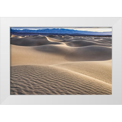 Mesquite Dunes-Death Valley National Park-California White Modern Wood Framed Art Print by Ford, John