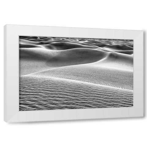 Mesquite Dunes-Death Valley National Park-California White Modern Wood Framed Art Print by Ford, John