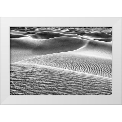 Mesquite Dunes-Death Valley National Park-California White Modern Wood Framed Art Print by Ford, John