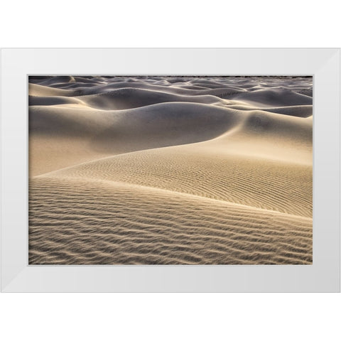 Mesquite Dunes-Death Valley National Park-California White Modern Wood Framed Art Print by Ford, John