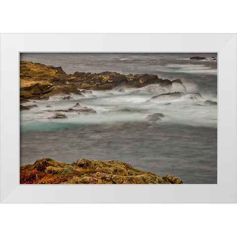 Point Lobos-Carmel-California White Modern Wood Framed Art Print by Ford, John