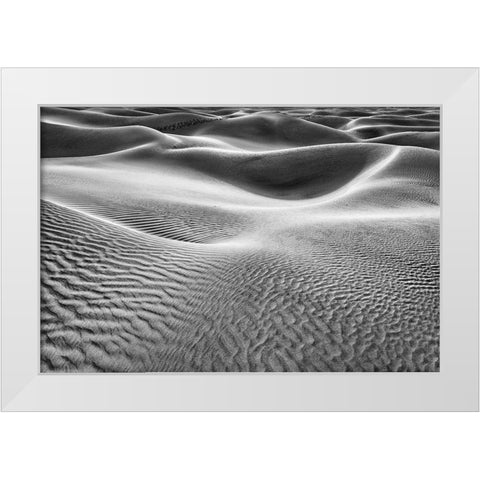 Mesquite Dunes-Death Valley National Park-California White Modern Wood Framed Art Print by Ford, John