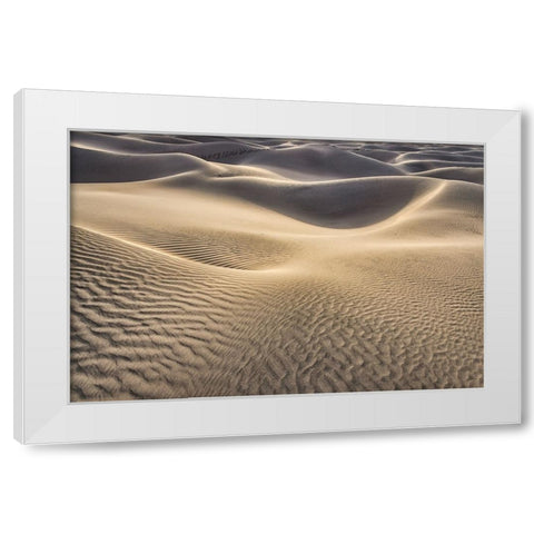Mesquite Dunes-Death Valley National Park-California White Modern Wood Framed Art Print by Ford, John