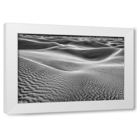 Mesquite Dunes-Death Valley National Park-California White Modern Wood Framed Art Print by Ford, John
