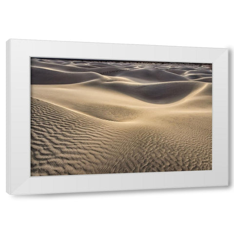 Mesquite Dunes-Death Valley National Park-California White Modern Wood Framed Art Print by Ford, John