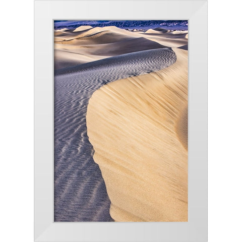 Mesquite Dunes-Death Valley National Park-California White Modern Wood Framed Art Print by Ford, John