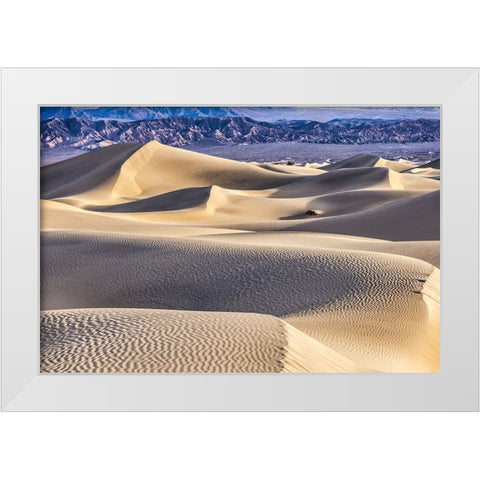 Mesquite Dunes-Death Valley National Park-California White Modern Wood Framed Art Print by Ford, John