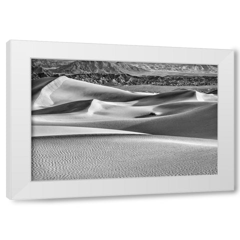 Mesquite Dunes-Death Valley National Park-California White Modern Wood Framed Art Print by Ford, John