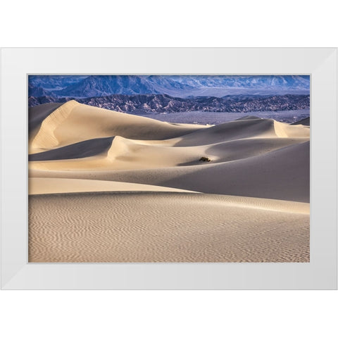 Mesquite Dunes-Death Valley National Park-California White Modern Wood Framed Art Print by Ford, John