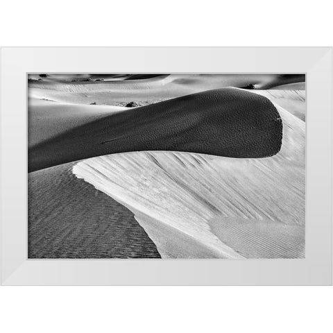 Mesquite Dunes-Death Valley National Park-California White Modern Wood Framed Art Print by Ford, John