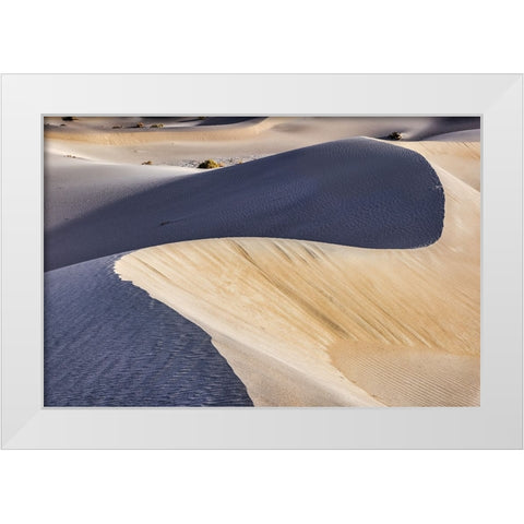 Mesquite Dunes-Death Valley National Park-California White Modern Wood Framed Art Print by Ford, John